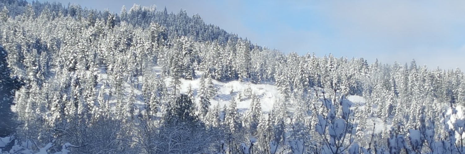 Robert Tretter banner