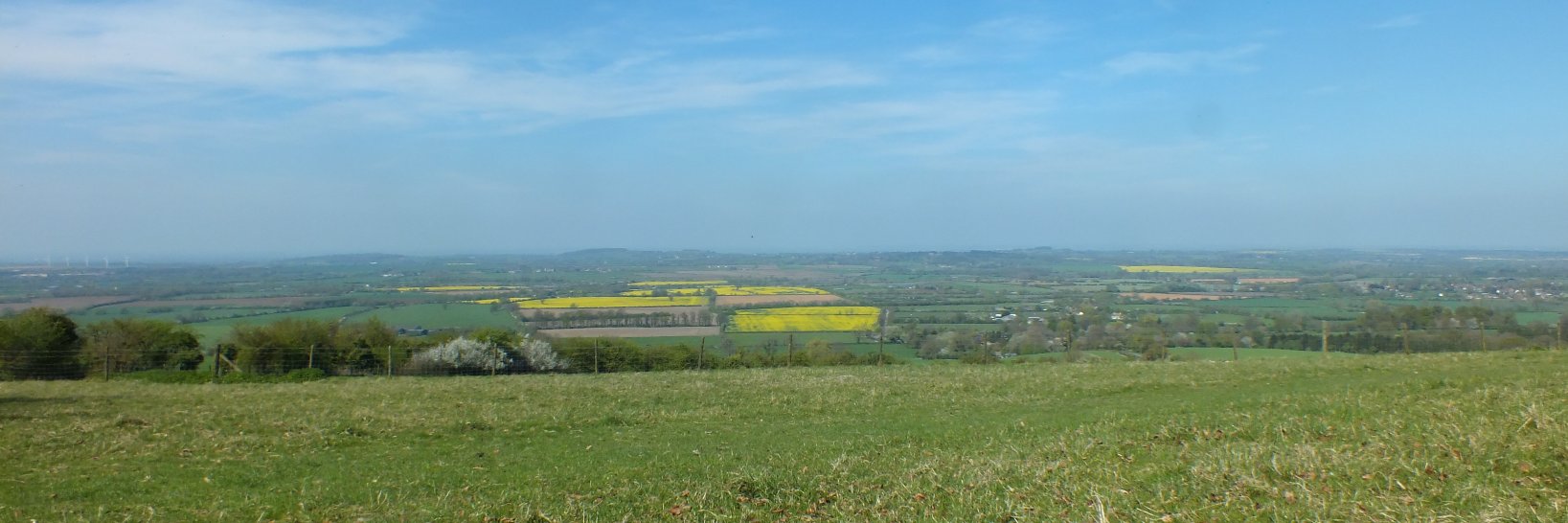 Danny Whiting's banner