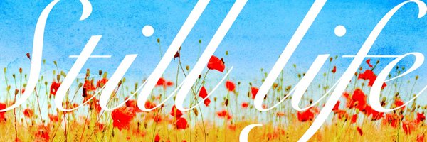 dc5v18a Profile Banner