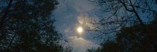 yi3sl Profile Banner