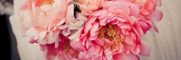 Make_it_Posh's profile banner image