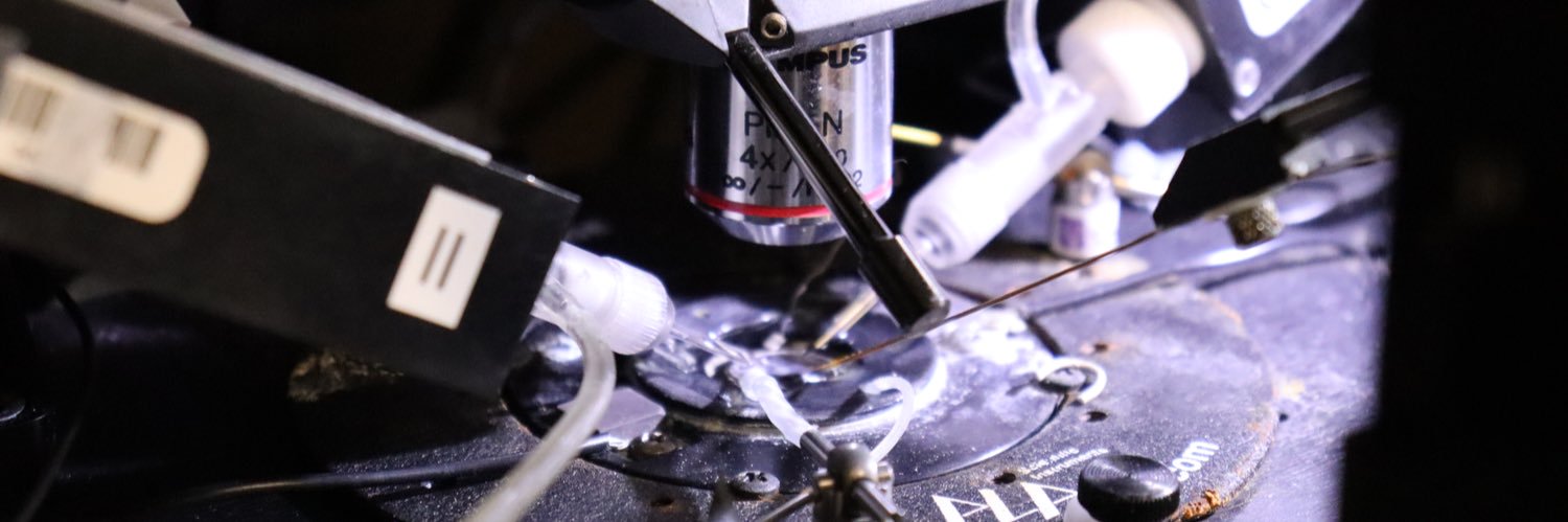 Dr Oli Steele banner