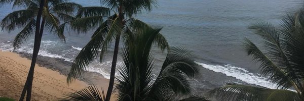 vsullivan Profile Banner