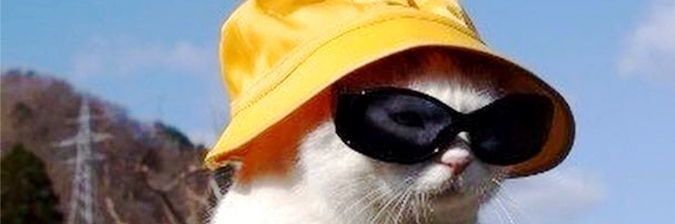 domilucc's profile banner image