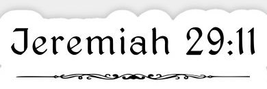 1prospect_of_18's profile banner image
