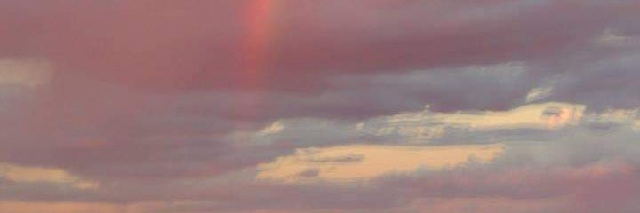 jay_elle_jo's profile banner image