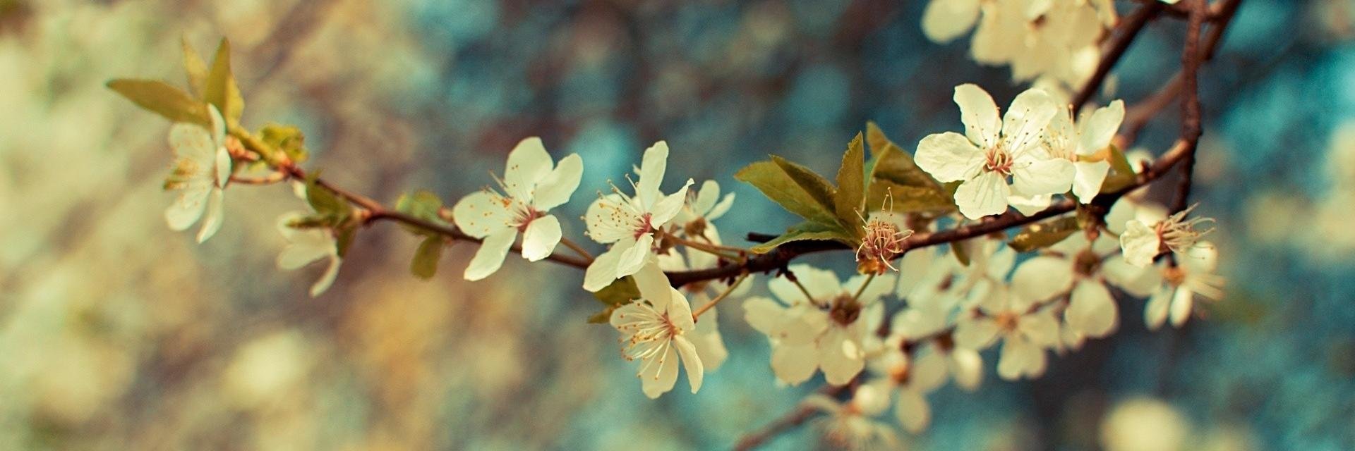 Itzel_lezti's profile banner image