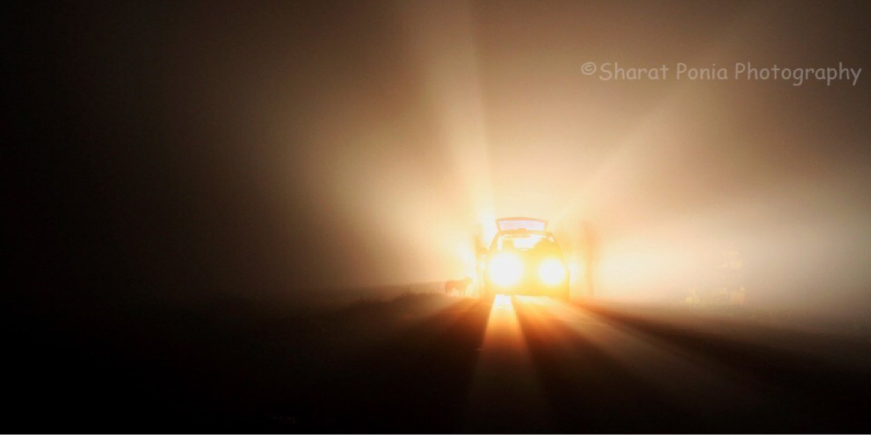sharatponia's profile banner image