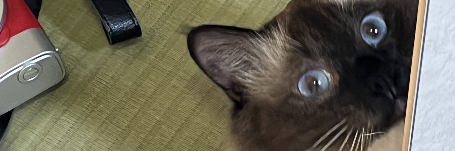 浅安_｜寫真販賣中 banner