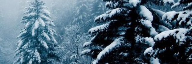 Sara_Scottly's profile banner image