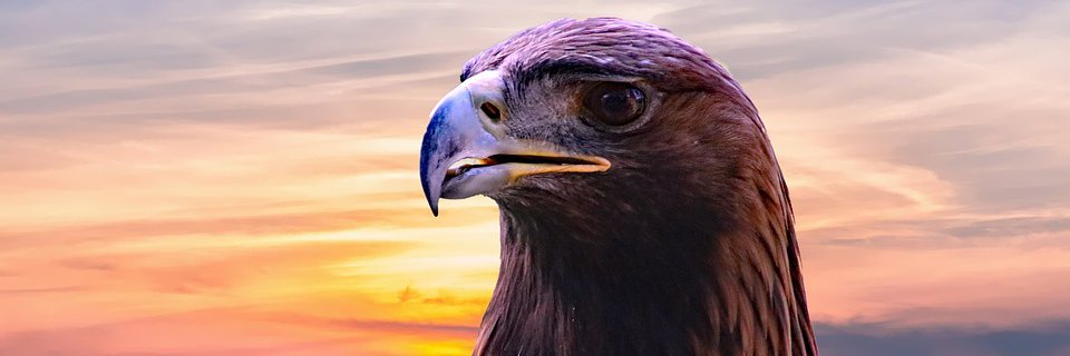 HawkKarma's profile banner image