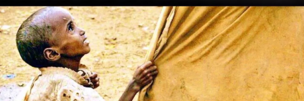 omnader14's profile banner image