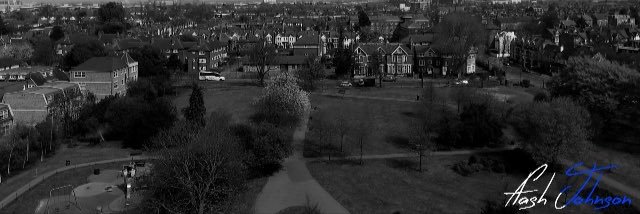 DirectorFlashJohnson banner