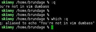 brundage's profile banner image