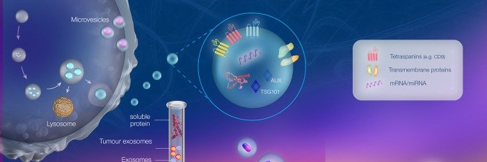 Translational EVs in Obstetrics and Gynae-Oncology banner