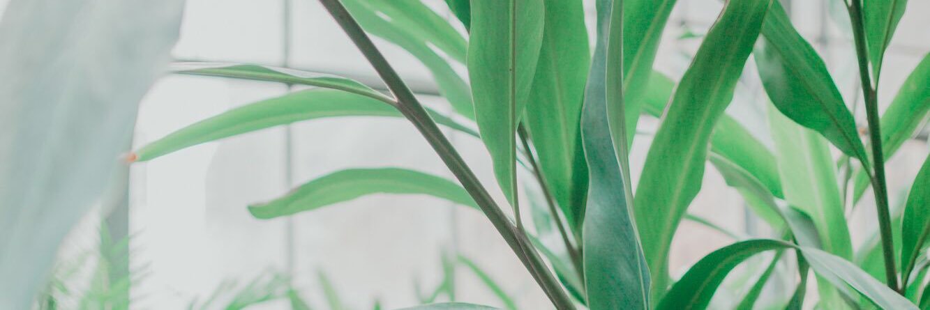 salimaahh's profile banner image