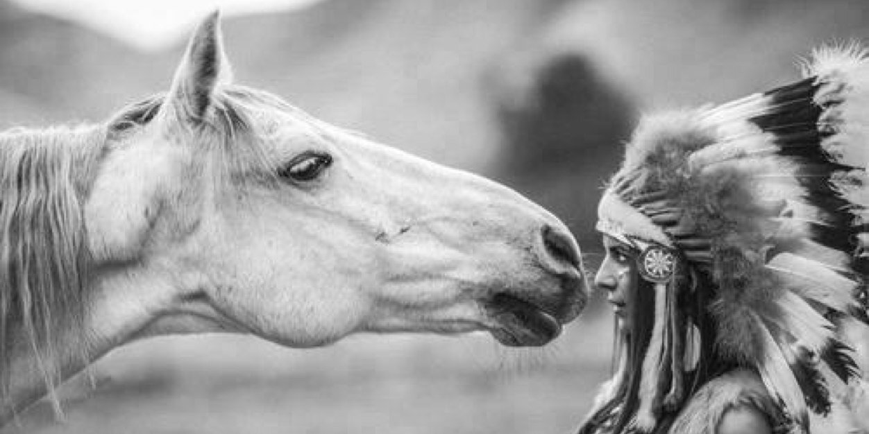 deborahvanweert's profile banner image
