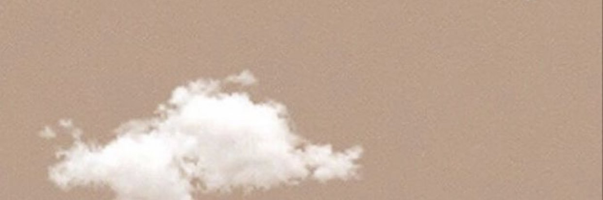dral3nood's profile banner image