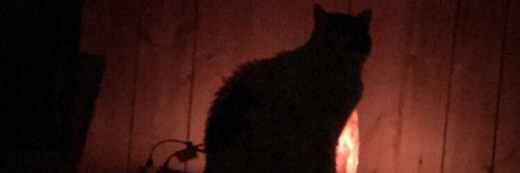 mforthetruth's profile banner image