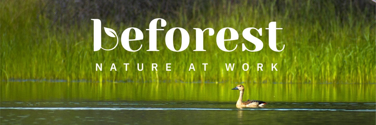 Beforest banner