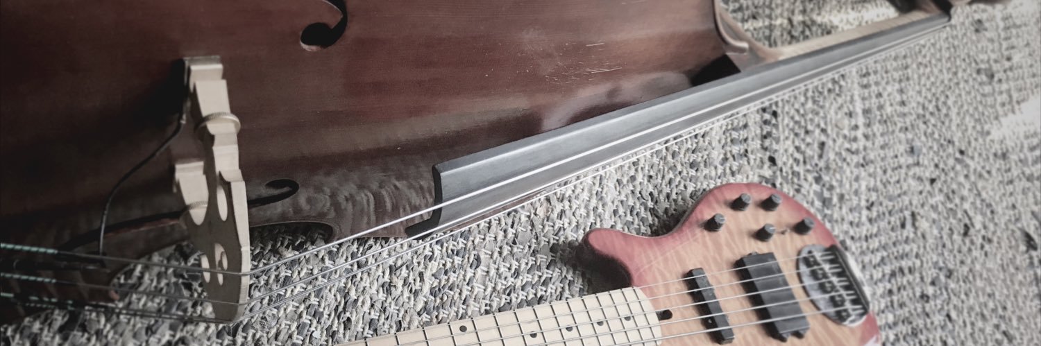 The Bass Shed banner