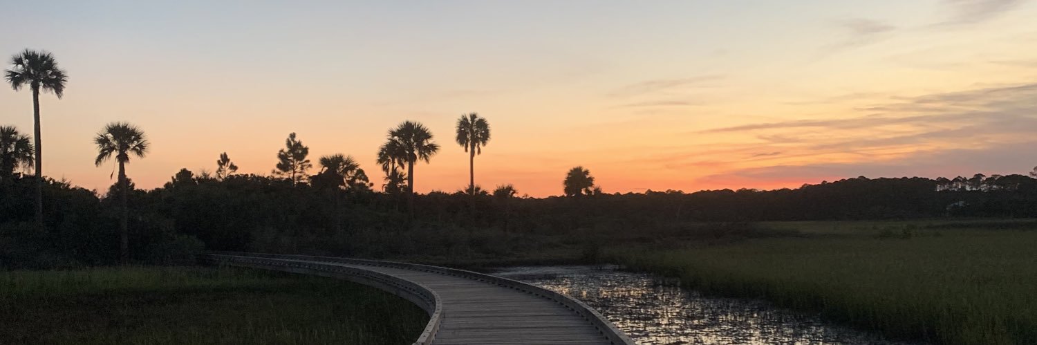 savcalleson's profile banner image