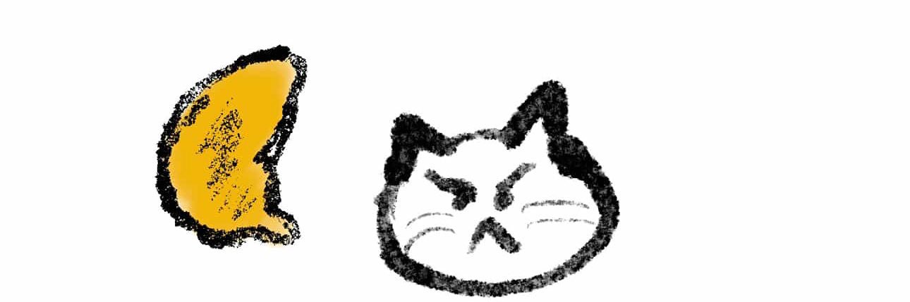 MissoP / Soft Error banner