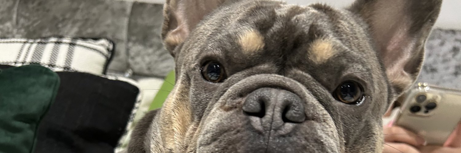 GeorgiaScherdel's profile banner image
