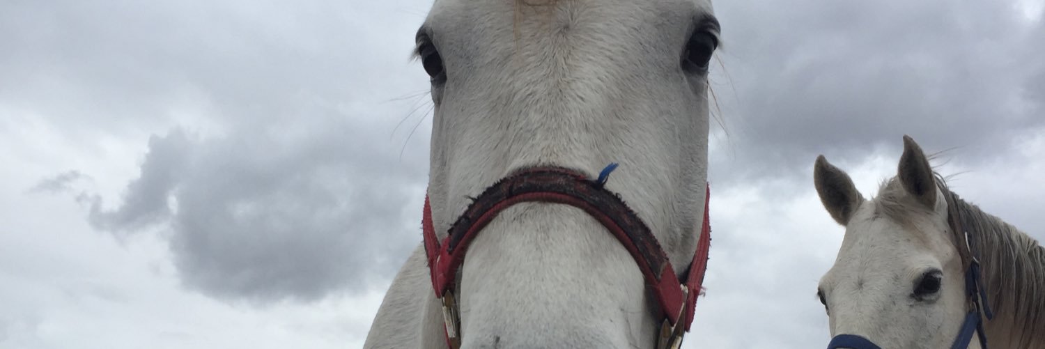 emmalujn's profile banner image