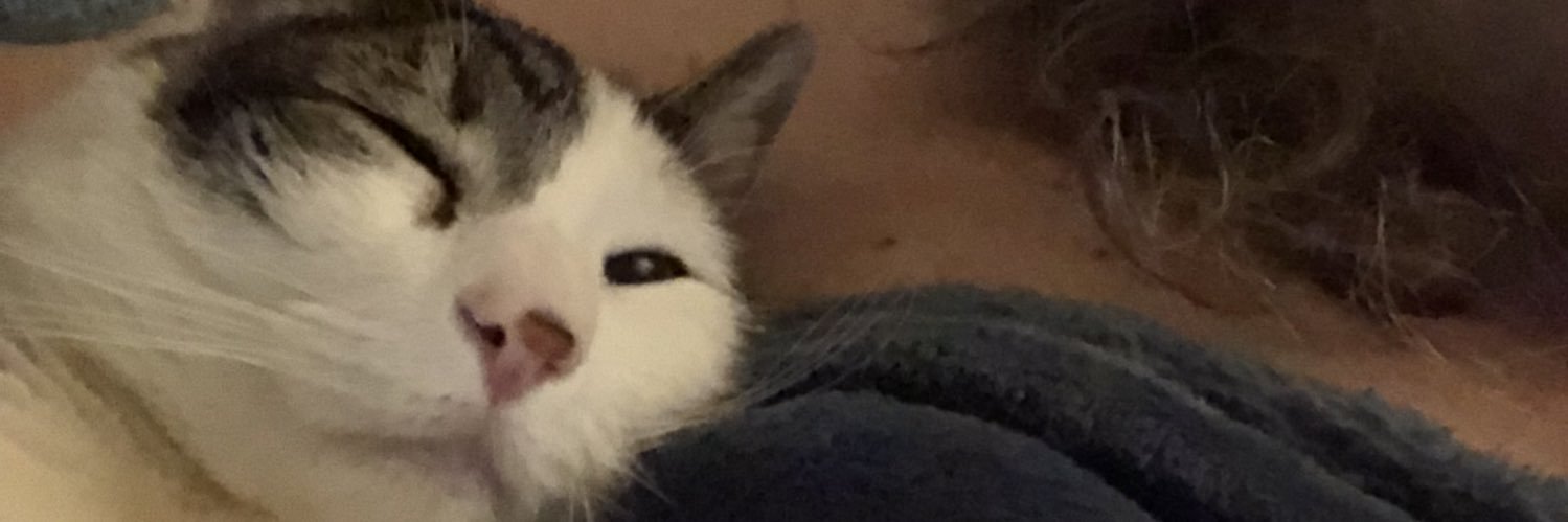 Bobby Rides a Dragon 🟧🟦😎💙☮️ banner