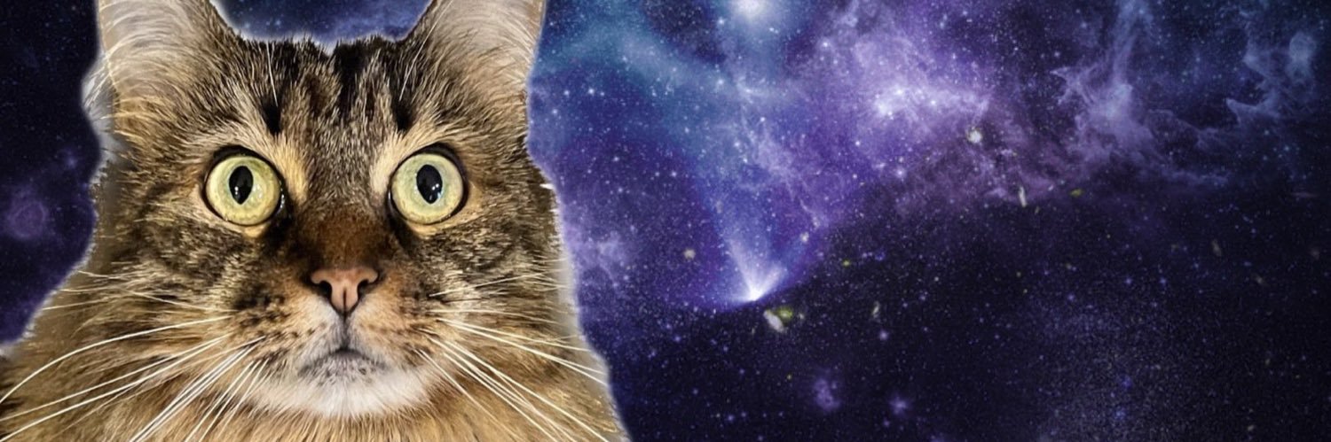 Железная Кошка banner