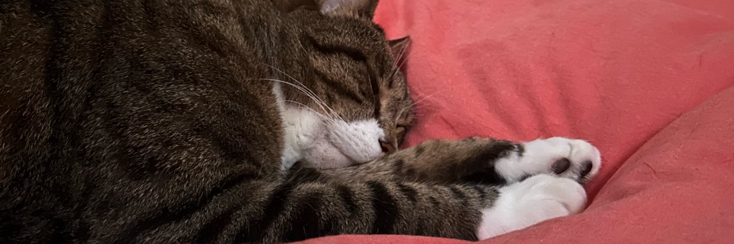 pauldalek's profile banner image