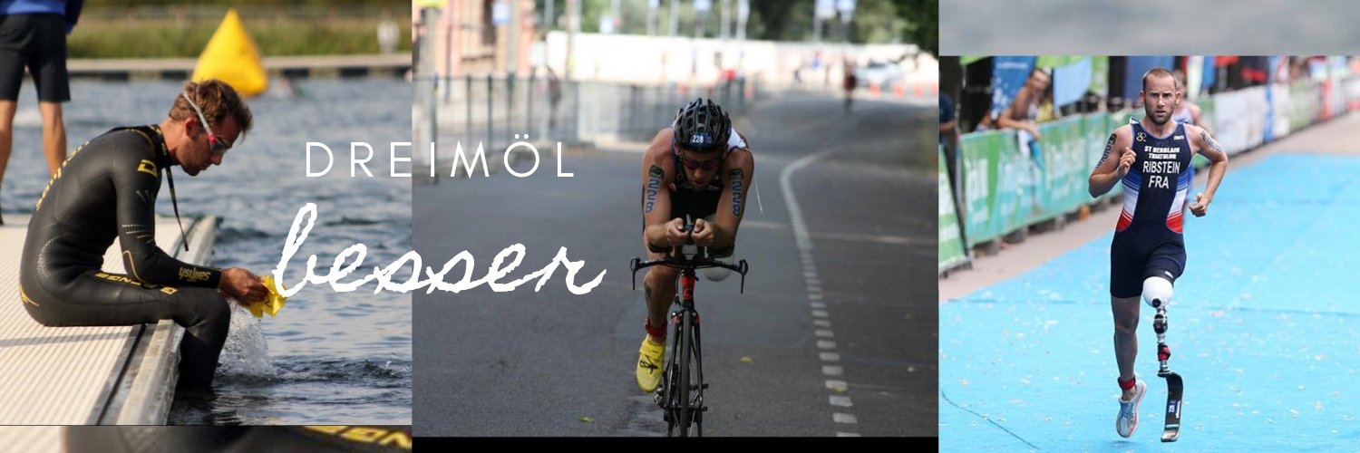 Jules RIBSTEIN banner