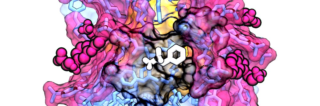 cebasfu93's profile banner image
