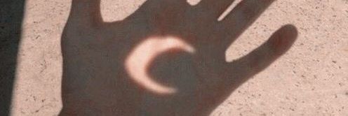 🌐 banner