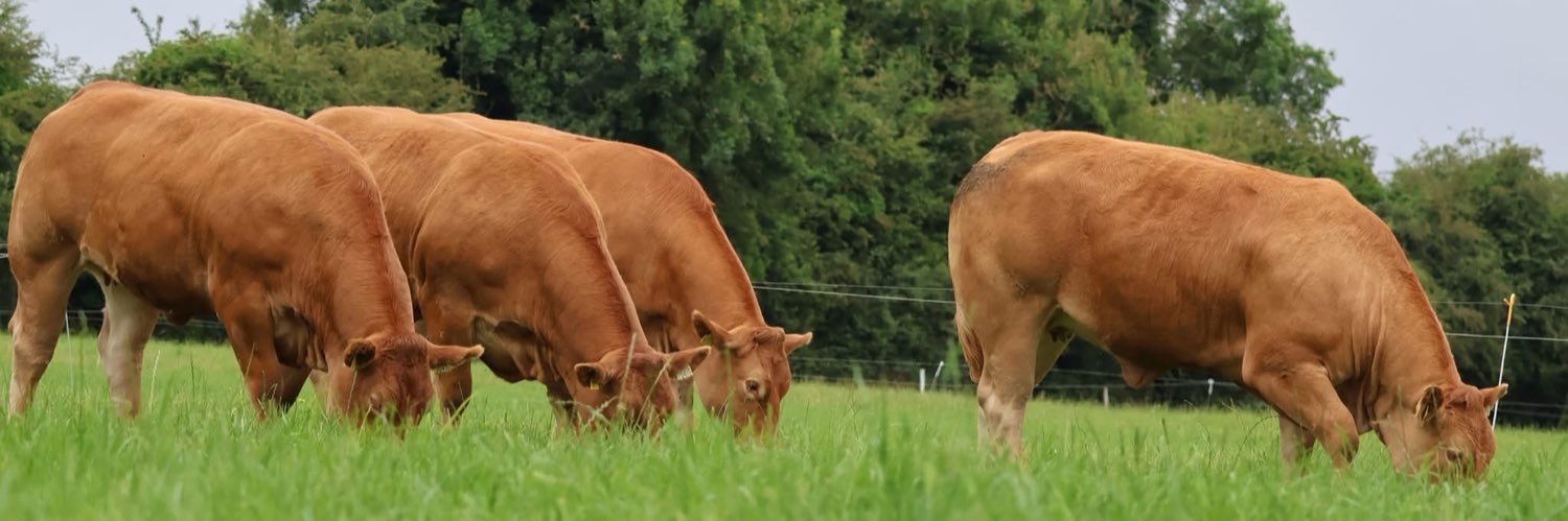 Prestige Beef banner