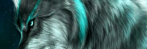 Cipher252's profile banner image