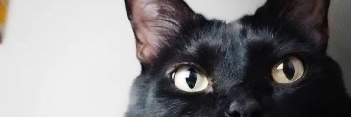 rochigc92's profile banner image