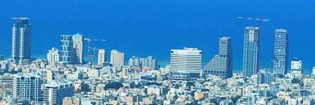Galit Ronen banner