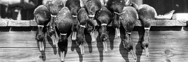 cooperhill_ Profile Banner