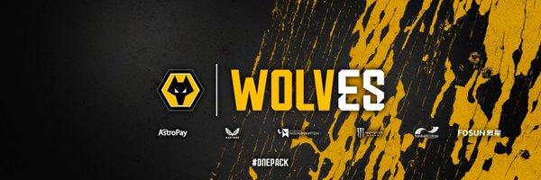 Wolves Esports Profile Banner