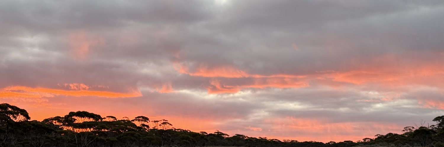 _beremachado's profile banner image
