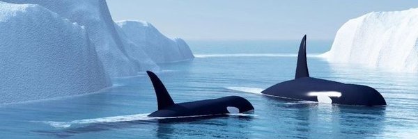 oceaiii Profile Banner