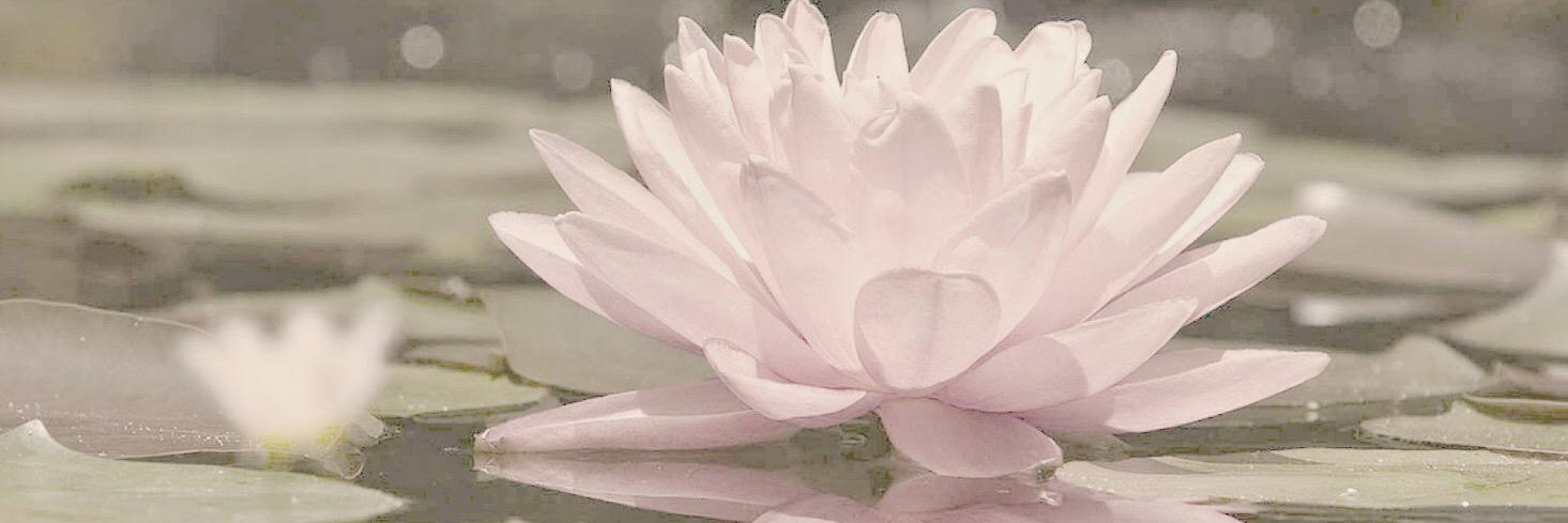 VeganJulz's profile banner image