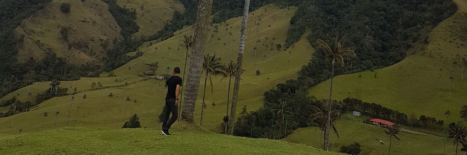 Poncholoko20's profile banner image