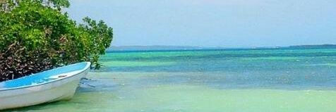 Sonia_crf's profile banner image