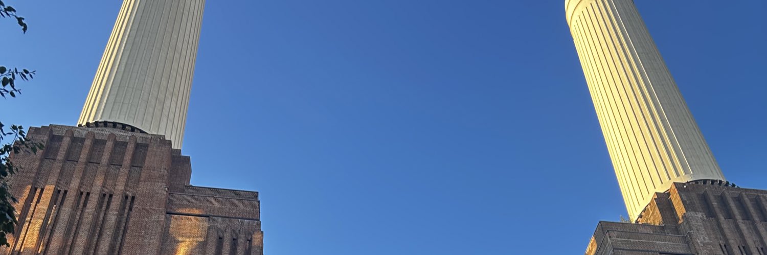 Dr Anna Sallis banner