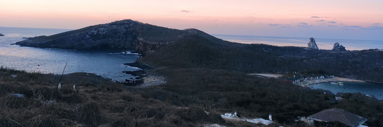 rociohg's profile banner image