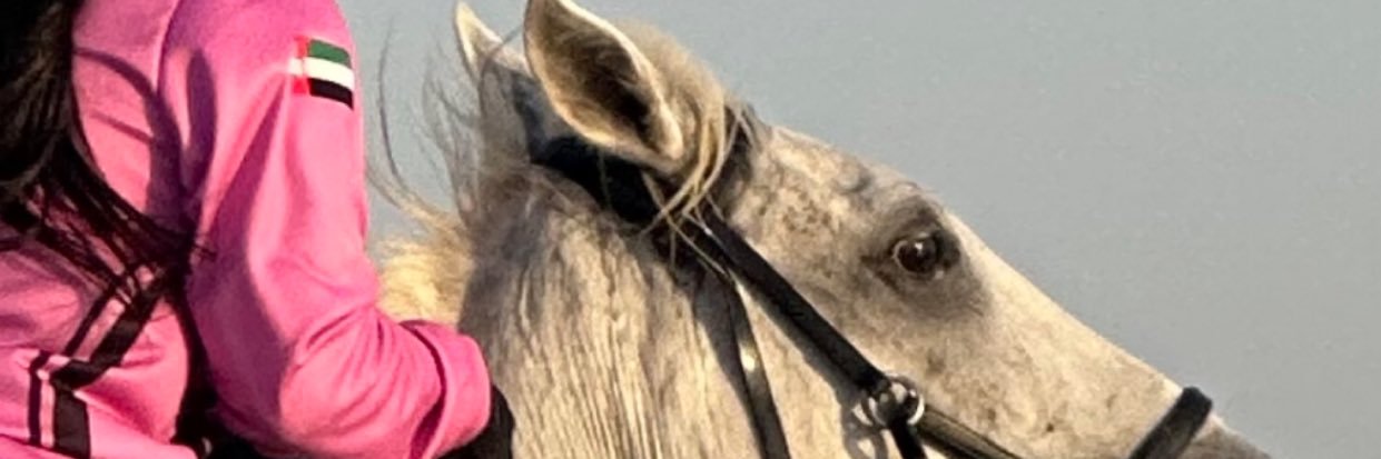 Mavv__'s profile banner image