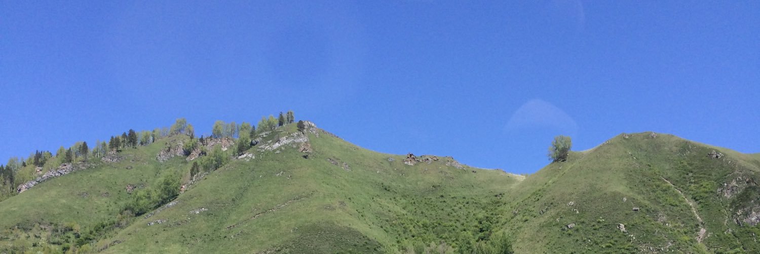 BairdRachel's profile banner image
